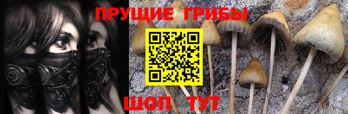 Галлюциногенные грибы Psilocybine cubensis  Псилоцибиновые грибы Magic Shrooms  Майкоп  Вход с VPN 