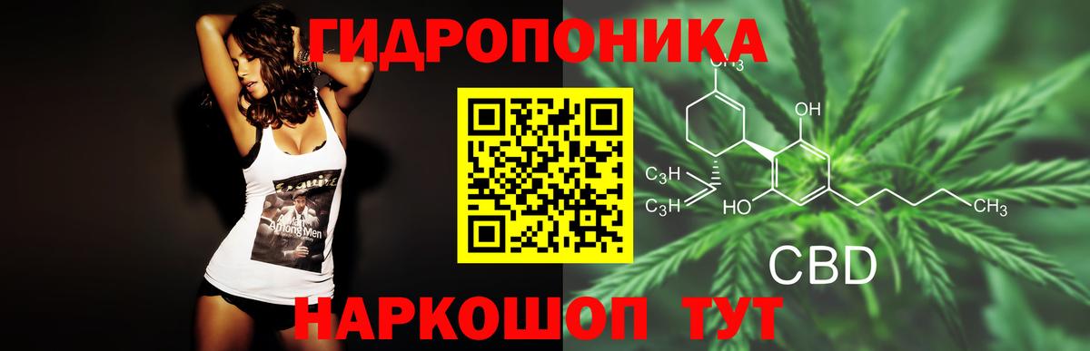 Каннабис индика  Вход с VPN  Марихуана OG Kush  Майкоп 